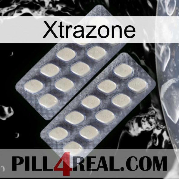 Xtrazone 07.jpg